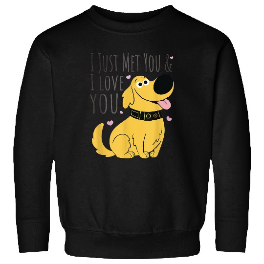 Discover Disney UP Dug I Just Met You Quote T-Shirt Sweatshirts
