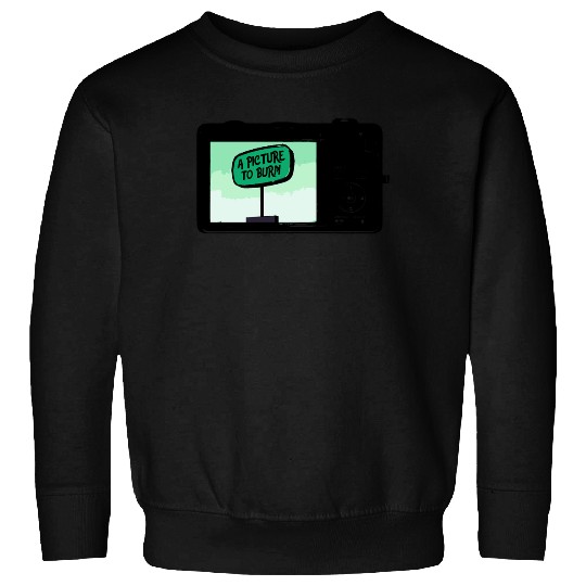 Discover Picture To Burn Taylor (2) Sweatshirts