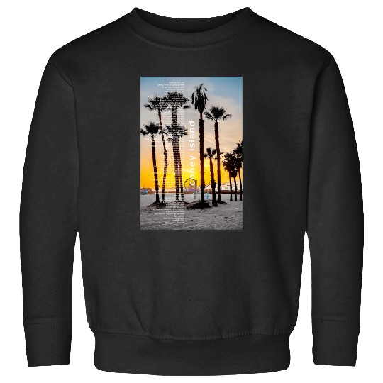 Discover Coney Island Taylor Evermore Album Sweatshirts