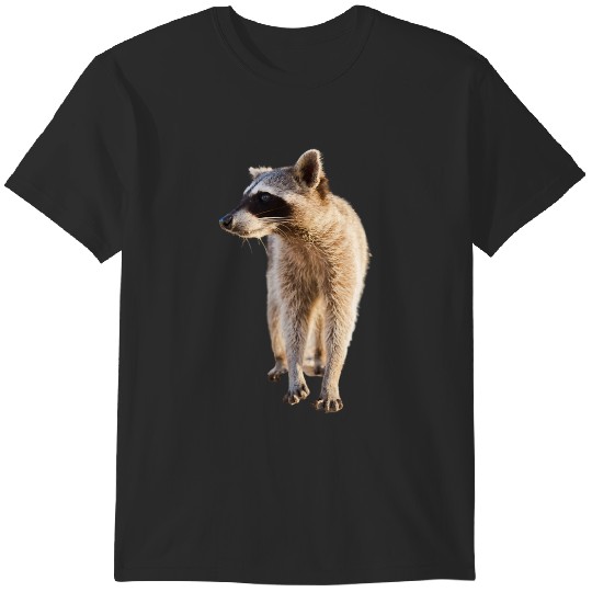 Discover Raccoon(1) T-Shirts