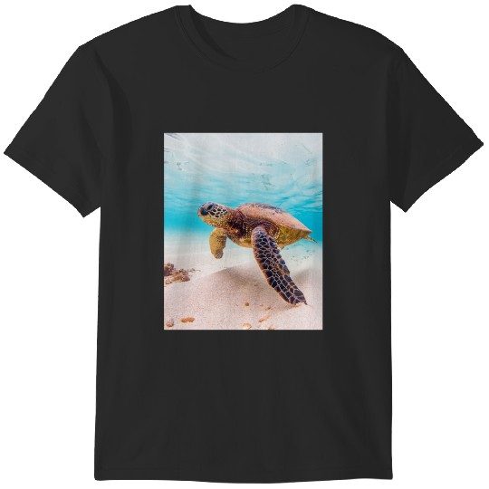 Discover Turtle Graphic T-Shirts