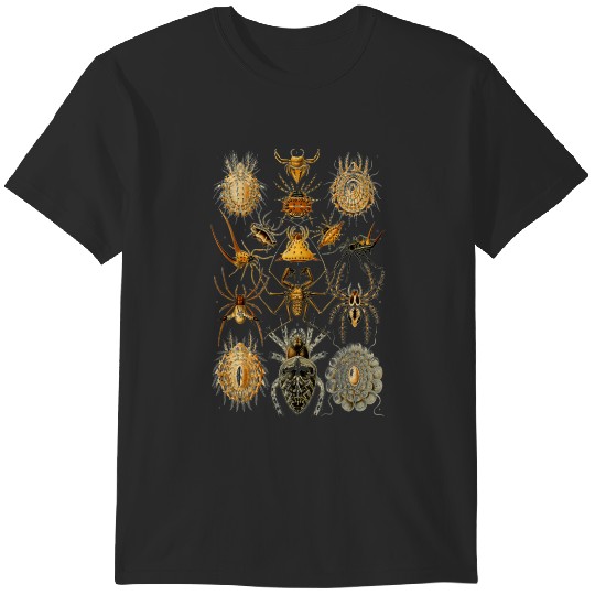 Discover Spiders T-Shirts
