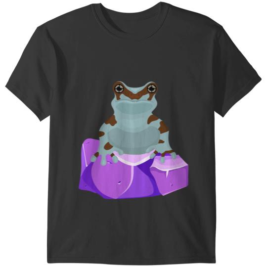 Frog Gift Crystal Amethyst Gemstone for Toad Owners T-Shirts
