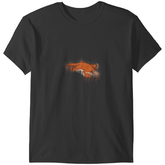 Platypus Gift Gifts Cute Animal Graphic T-Shirts