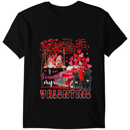 I Found Valentine Two Cute Cane Corsos Couple Gnomes Pickup T-Shirts