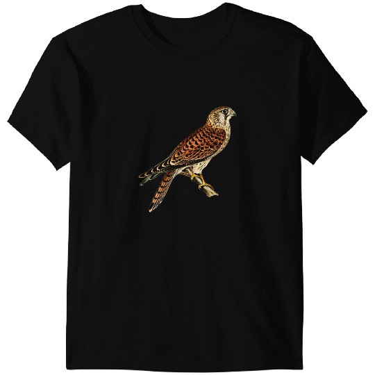 Common Kestrel Hawk Falcon Raptor Bird Ornithology T-Shirts