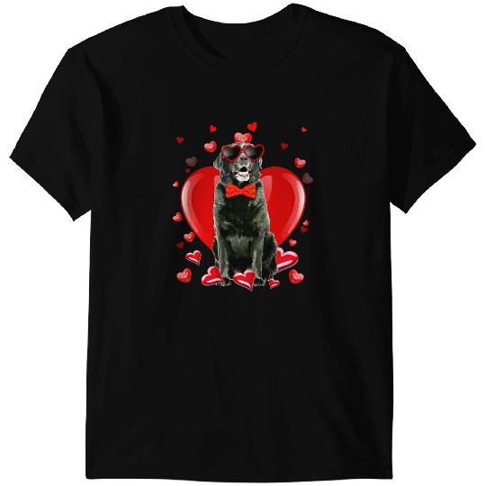 Black Lab Valentines Day Boys Girls Valentine Gifts T-Shirts