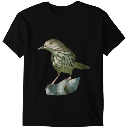 Brown Thrasher Graphic Cute Gift Bird Lover Birding T-Shirts