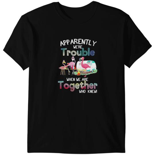 Pink Flamingo Camp Camping Apparently Were Trouble When We Are Together Who Knew Flamingo Camper Flamingos T-Shirts