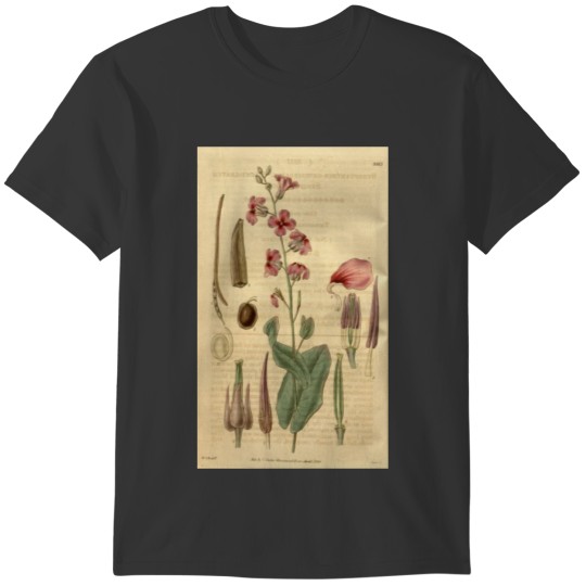 Curtis's botanical magazine (Plate 3317) ( T-shirt