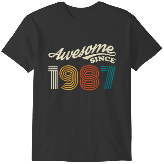 1987 Vintage born in Retro age Birthday gift idea T-shirt