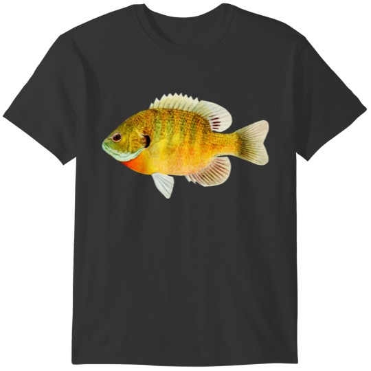 animal fish T-shirt
