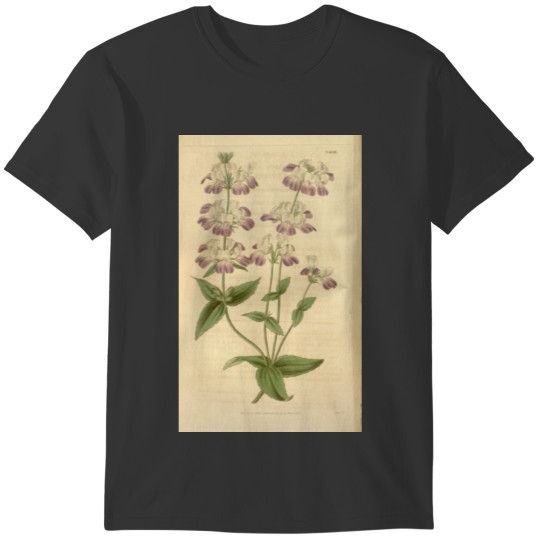 Curtis's botanical magazine (Plate 3488) ( T-shirt