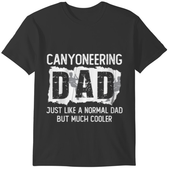 Canyoneering Dad Joke Canyoning Climbing T-shirt