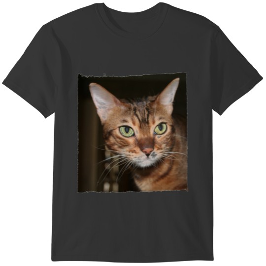 Bengal Cat Portrait with torn frame T-shirt