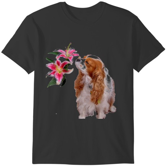 Spring time  with a Cavalier King Charles Spaniel T-shirt