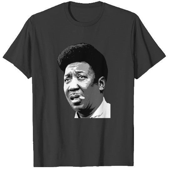 Muddy Waters Women's Premium T-shirt T-shirt