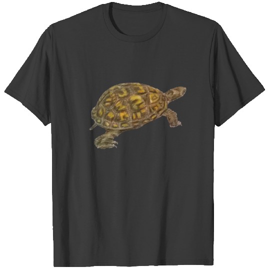 Box Turtle T-shirt