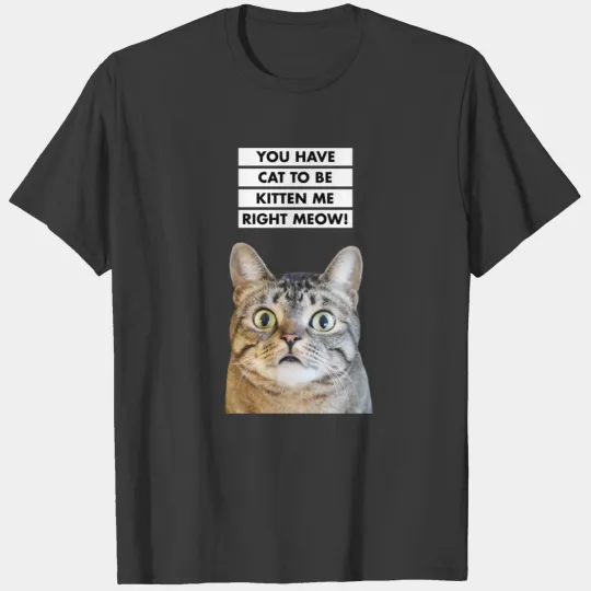 YOU HAVE CAT TO BE KITTEN ME RIGHT MEOW! Funny Cat T-shirt