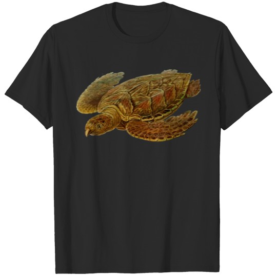 Discover sea turtle tortoise schildkroete53 T-shirt