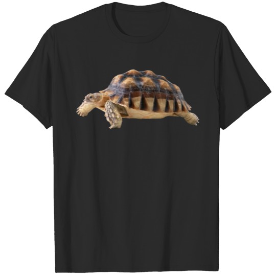 Discover turtle schildkroete tiere animals3 T-shirt