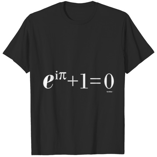 Euler Equation Maths College Geek Nerd T-shirt