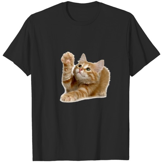 Discover GINGER KITTEN T-shirt