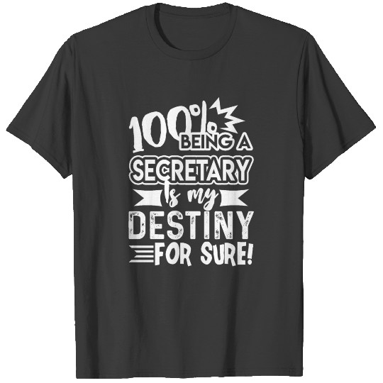 Secretary Is My Destiny T-shirt