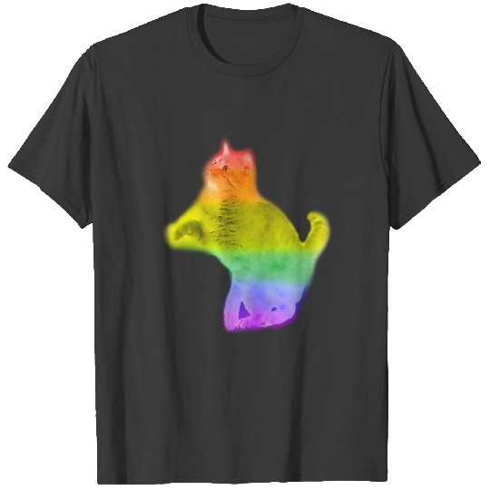 watercolor rainbow cat T-shirt
