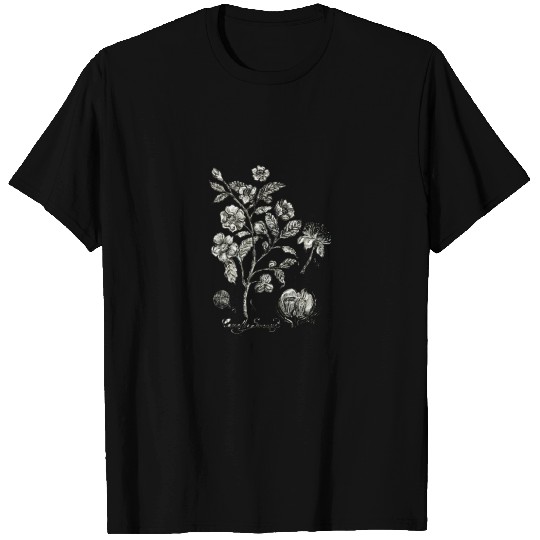 Tea Plant botanical illustration T-shirt