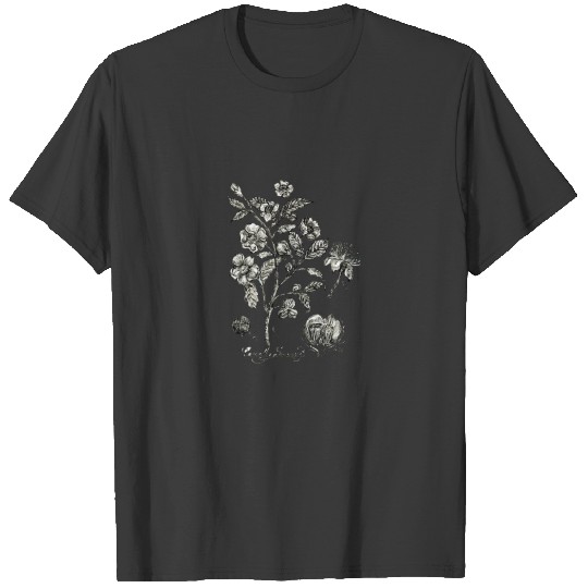 Tea Plant botanical illustration T-shirt