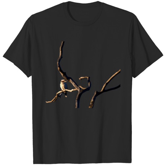 Discover A Kookaburra In A Bare Tree Taken At Dawn On Black T-shirt