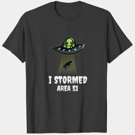 Funny Black Cat I Stormed Area 51 Funny Halloween T-shirt