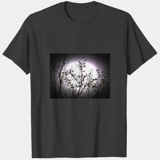 A Full Moon Night T-shirt