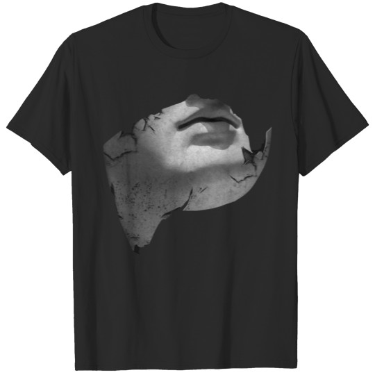 Discover piece of face T-shirt