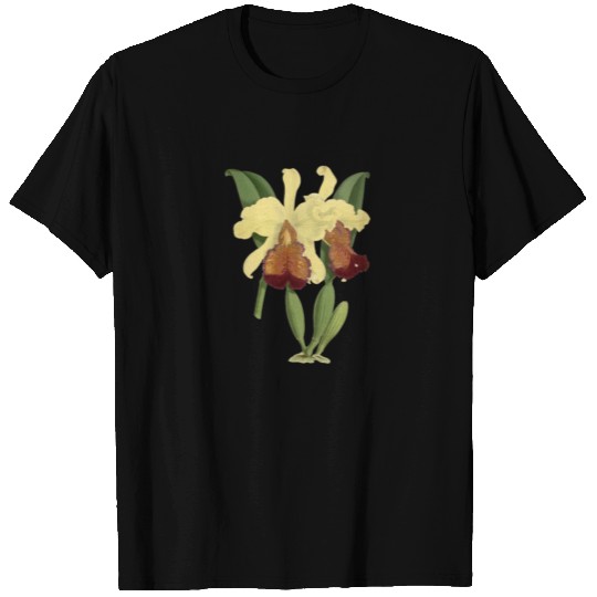 Hawaii Orchid botanical illustration T-shirt