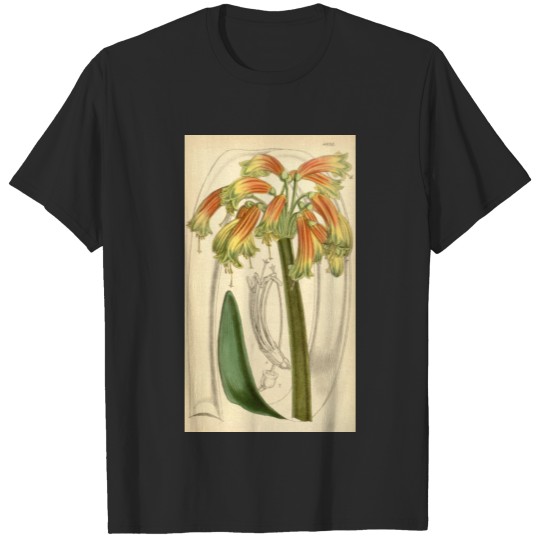 Discover Curtis's botanical magazine (Tab. 4895) ( T-shirt