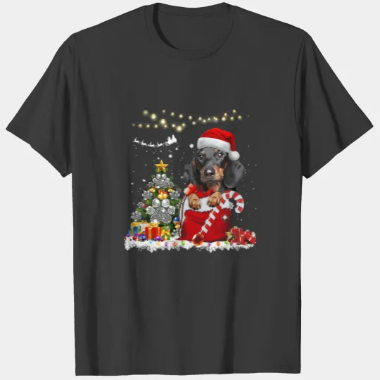 Dachshund Hat Santa Christmas Gift Box Sweater Xma T-shirt