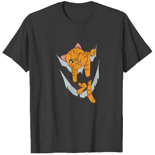 Cat in Pocket & Cat Owner T-shirt