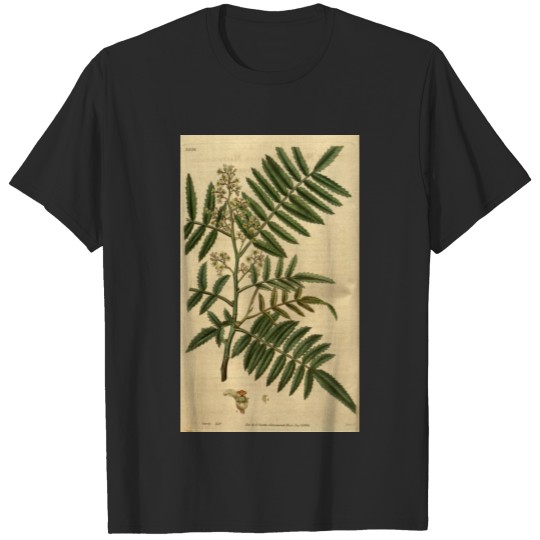 Discover Curtis's botanical magazine (Plate 3339) ( T-shirt