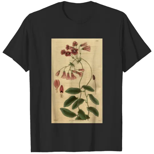 Discover Curtis's botanical magazine (Plate 3344) ( T-shirt