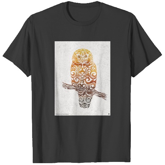 Discover Swirly Owl (color) T-shirt