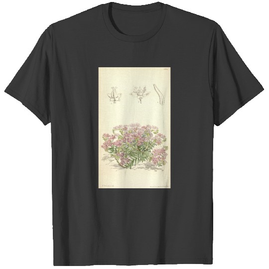 Discover Curtis's botanical magazine (Tab. 5924) ( T-shirt