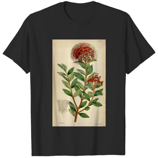 Discover Curtis's botanical magazine (Tab. 4471) ( T-shirt