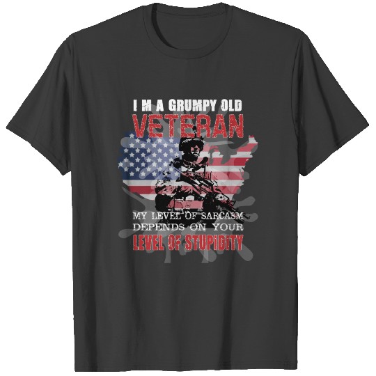 i am a grumpy old veteran sarcasm level stupidity T-shirt