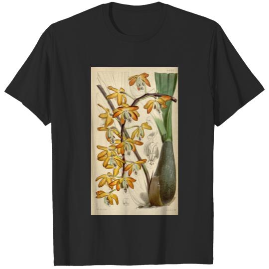 Discover Curtis's botanical magazine (Tab. 4437) ( T-shirt