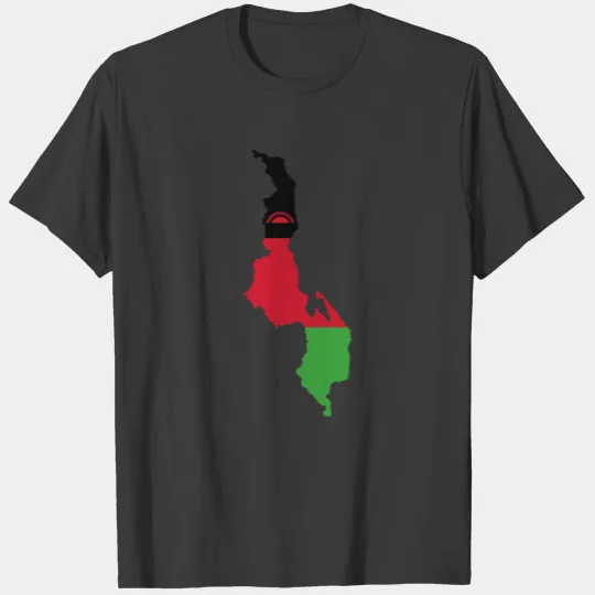 Discover Sticker Flag Map T-shirt