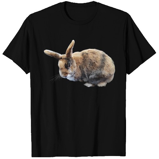 Brown and Tan Rabbit T-shirt