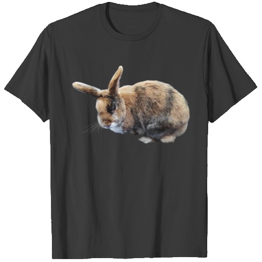 Brown and Tan Rabbit T-shirt