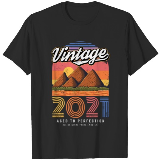 Discover 2021 Vintage born in Retro age Birthday gift idea T-shirt